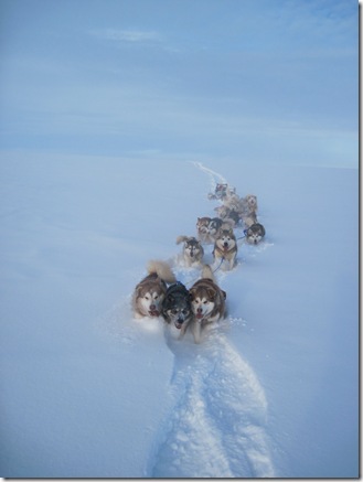 team in deep snow 