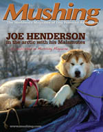 Nikko on the cover of Mushing Magazine