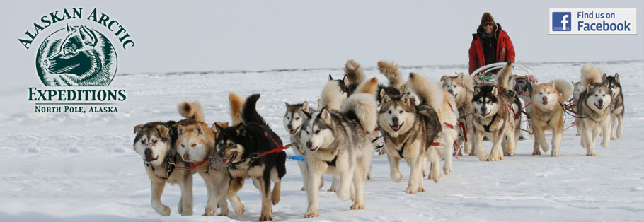 Joe Henderso's Alaskan Arctic Expedition